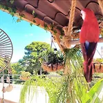 Elim Suite & Rooms